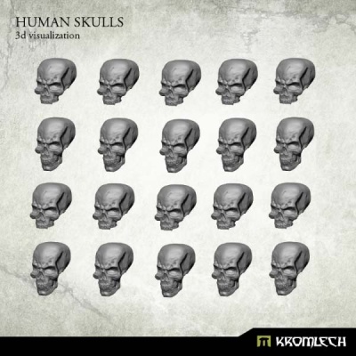 Human Skulls (20)