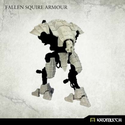 Fallen Squire Armour