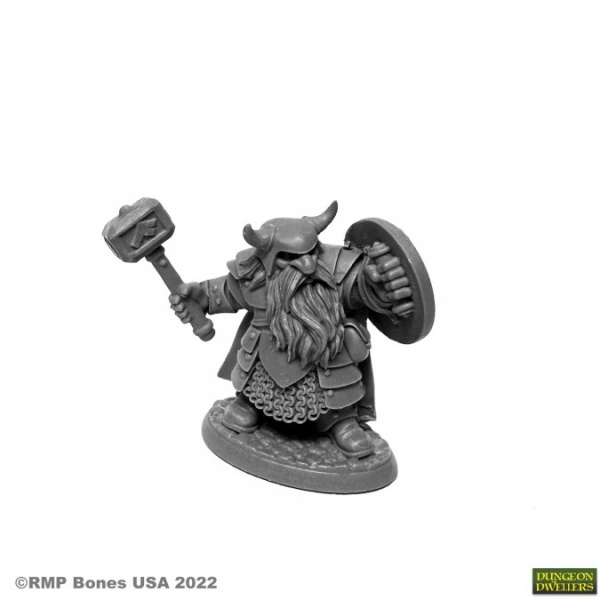 Borin Ironbrow, Dwarf Adventurer