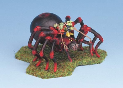 Macrothele -Giant Spider
