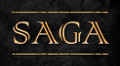SAGA Viking Age