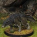 Dire Wolf B