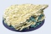 Shale Bases, Round 60mm (1)