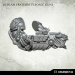 Bedlam Fraternity Sonic Guns (4)