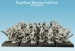 Reptilians Warriors Full Unit (10mm) (32)