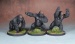 Great Apes (3)