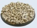 Skulls Bases, Round 60mm (1)