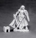 Alandin, Elf Paladin
