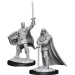 Human Paladin Male