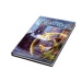 Frostgrave 2. Edition DEUTSCH