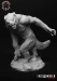 Greyback