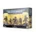 Stormboyz der Orks