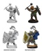 D&D: Dragonborn Male Paladin (2)