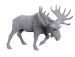 Bull Moose