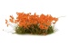 Orange Flowers OOP