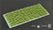 Dark Green Shrubs