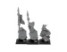 Imperial dwarf spearmen