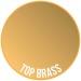 Top Brass TWO THIN COATS Wave Two Paint metallic