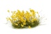 Yellow Flowers OOP