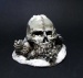 Altar of Skulls